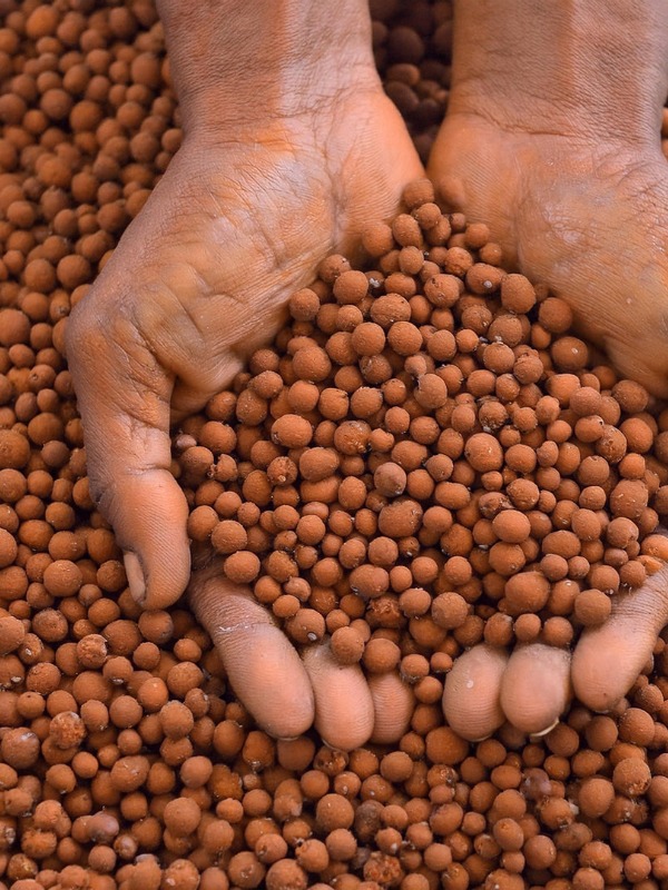 Comment planter dans sa jardinière