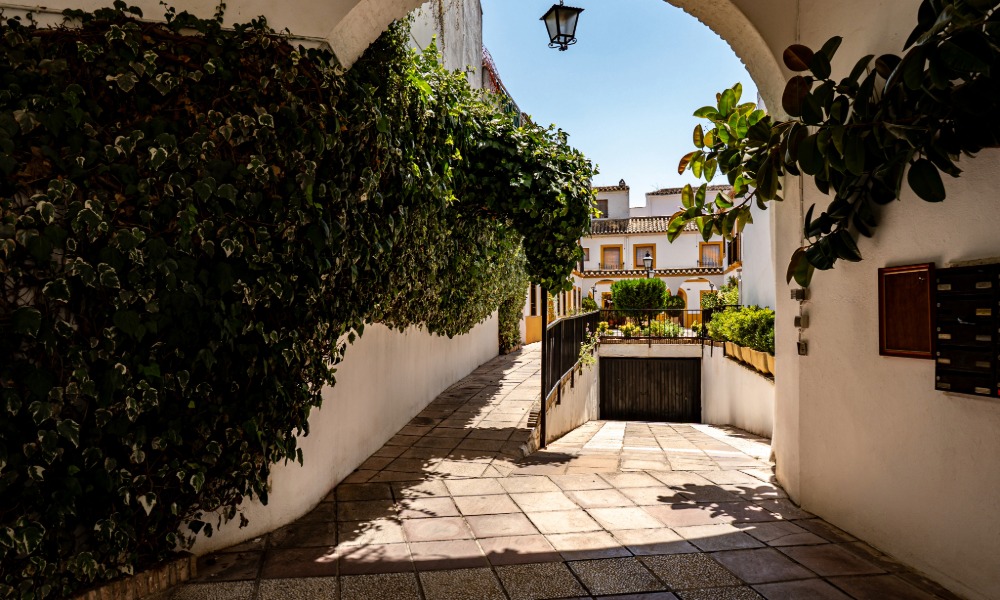 Haie Méditerranéenne