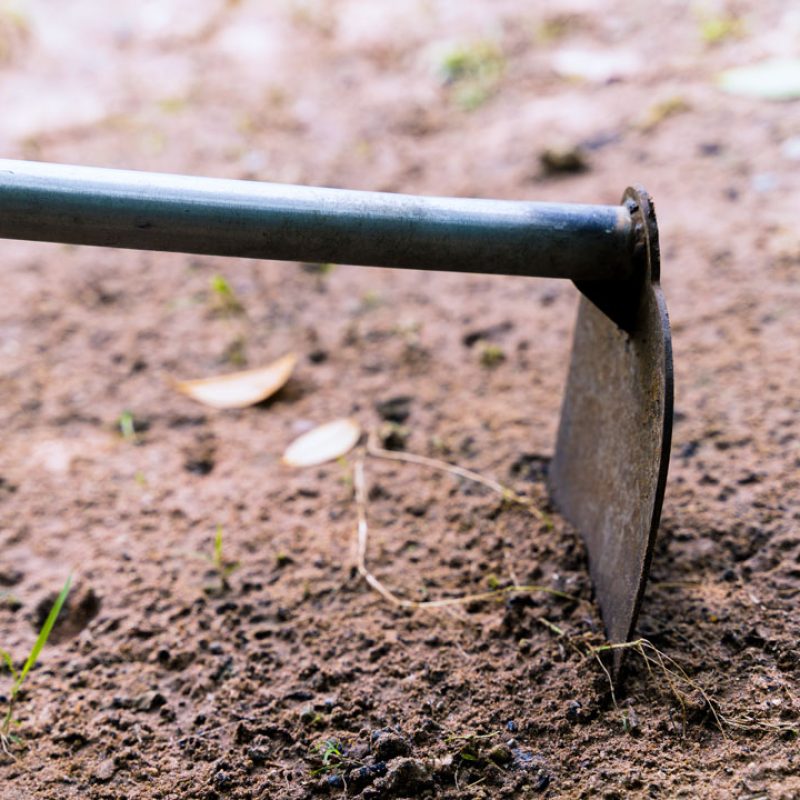 Préparer son sol pour le printemps
